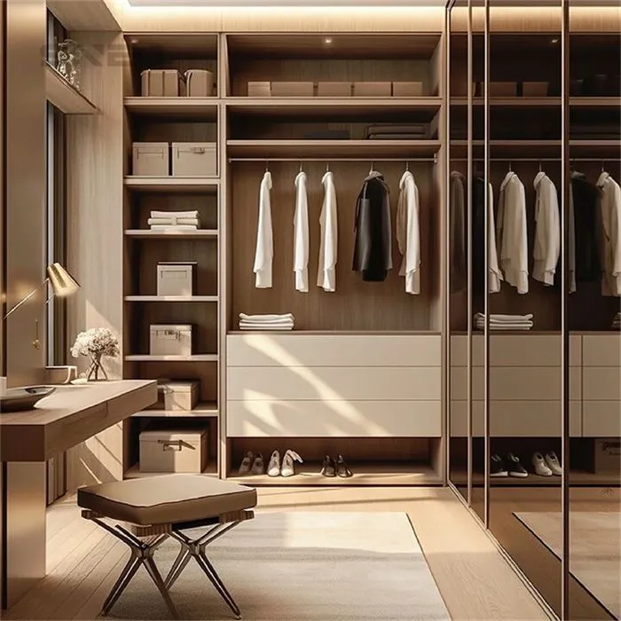Open Modern Minimalist Closet With Shelves